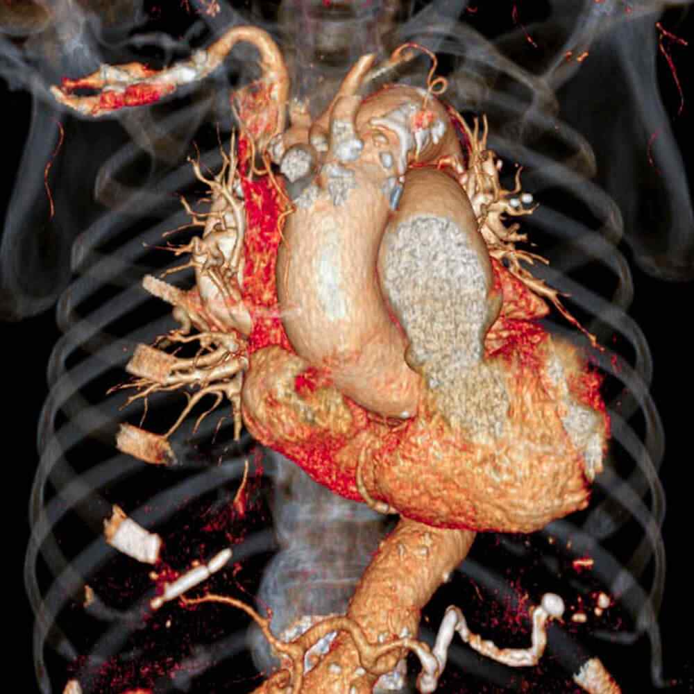 http://phgns.fr/wp-content/uploads/2021/08/inner_image_03.jpg